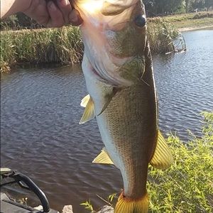 Meet your Posher, Brad